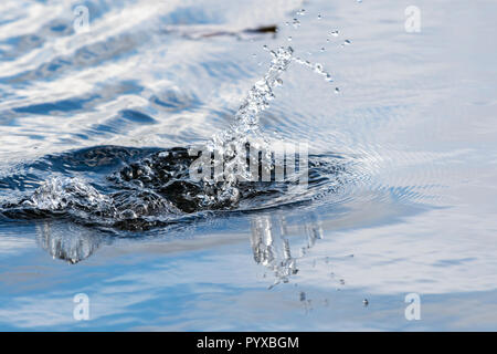 Water splash and droplets in air. Stock Photo