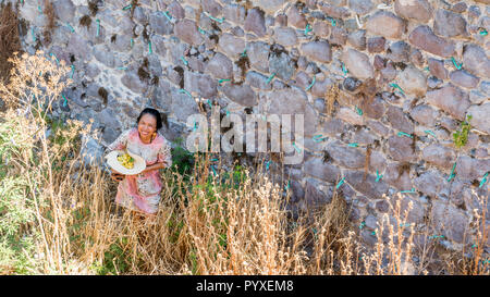 Woman with hat full of fruit near stone wall smiling Stock Photo