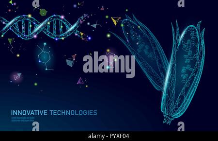 GMO corn gene modified plant. Science chemistry biology genetics engineering innovation organic eco food technology 3D render geometric background template. banner vector illustration Stock Vector