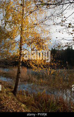 Kottlasjön, Lidingö (Sweden) Stock Photo