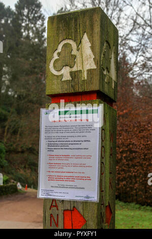 An information notice warning about the plant disease Phytophtora ramorum infecting Rhododendrons, Dimmingsdale, Oakamoor, Staffordshire, England, UK Stock Photo