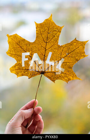 Maple leaf with word FALL in woman hand with park on background Stock Photo