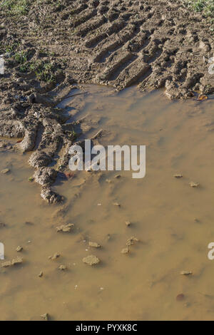 Heavy tractor tyre tracks in muddy water puddle hollow in agricultural field. Metaphor stick in the mud, muddy texture, muddy surface, mud, winter mud Stock Photo