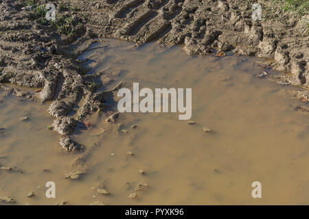 Heavy tractor tyre tracks in muddy water puddle hollow in agricultural field. Metaphor stick in the mud, muddy texture, muddy surface, mud, winter mud Stock Photo