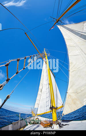 Fisheye lens view of an old sailing ship, looking up perspective. Stock Photo