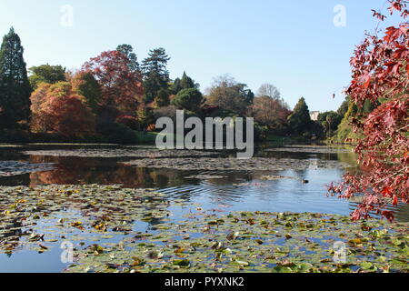 Autumnal trees trees reflected in lake at Sheffield park Stock Photo