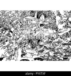 Abstract background with leaves. Trace black and white vector illustration. Stock Vector