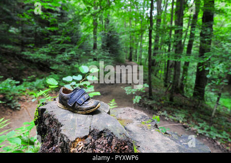 Trail in the forest with child shoe left on the tree trunk in Bieszczady National Park, Poland, Europe Stock Photo