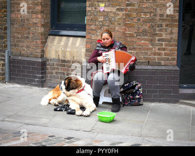 Lady playing a piano accordion with a St Bernard dog for company near the Golden Hinde St Mary Overie Dock, Cathedral St, London, UK Stock Photo