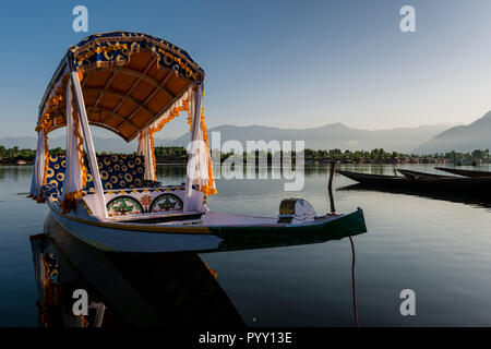 Shikaras are the common transport for people and goods on Dal Lake. Houseboats for rent are seen in the background Stock Photo