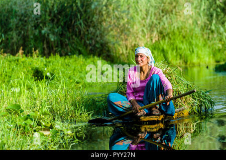 A woman paddeling a shikara, seen in one of the little water channels leading through green forrest. Shikaras are the common transport for people and  Stock Photo