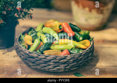 Colorful chili peppers in wicker basket, bowl, on a wooden rustic table, different varieties, natural rural autumn background Stock Photo