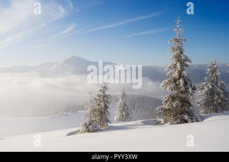 White Christmas. Snow winter landscape with fog in the mountains. Sunny frosty day Stock Photo