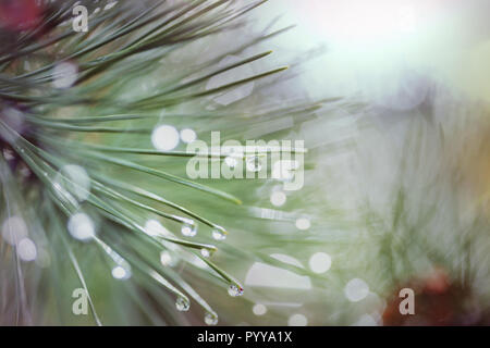 Abstract Christmas image suitable for the holiday background Stock Photo