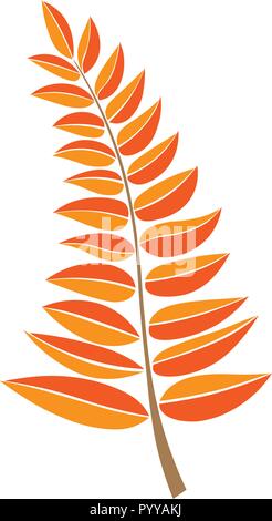 autumn botanical illustration.orange vector a branch with leaves. design element. Hand drawn plant and tree branches with leaves. Stock Vector