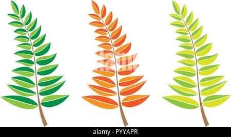 Set of vector branches. hand drawn tree branches with leaves isolated on white background. design element leaves decoration. logo icon Stock Vector