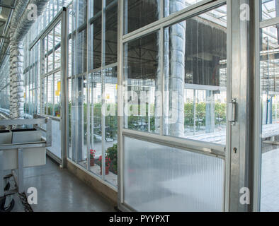 close-up of a glass door in a modern greenhouse Stock Photo