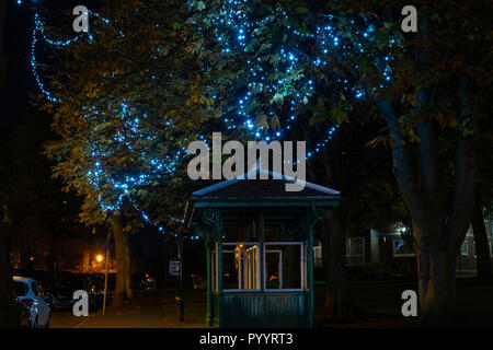 Blue decorative sparkling lights hanging from a tree above a wooden shelter in Harrogate, North Yorkshire, England, UK. Stock Photo