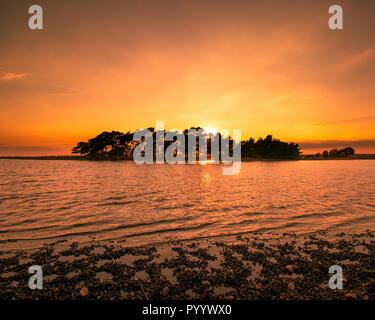 golden sunset Sunset at Hatchet Pond, New forest Stock Photo