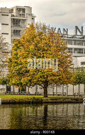 Rotterdam, The Netherlands, October 20, 2018: Chestnut tree in autumn colors in front of the Van Nelle facory Unesco world heritage Stock Photo