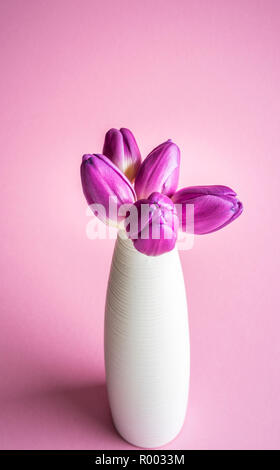 purple tulips in white vase against light purple background Stock Photo