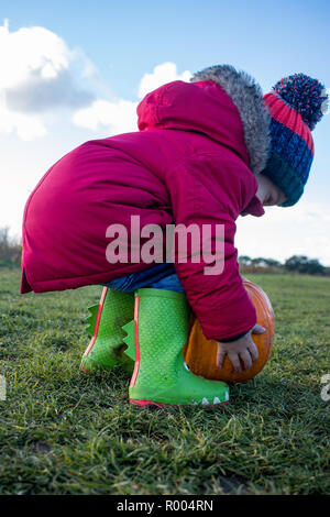 Child in wellies pumpkin picking for halloween Stock Photo