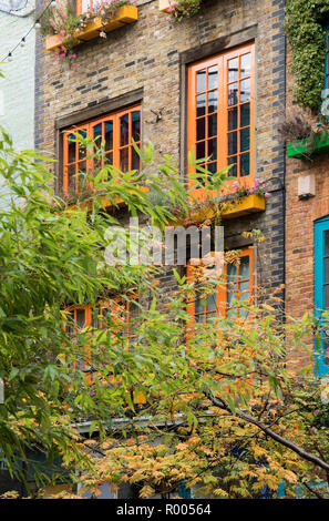 Neil's Yard: coloured shutters Stock Photo