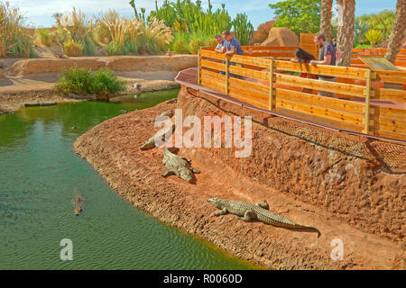 Crocodile enclosures at Croco Park, Agadir, Souss-Massa Province,  Southern Morocco, West Africa. Stock Photo