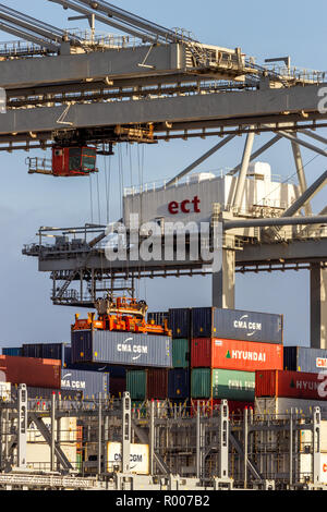 ROTTERDAM - JAN 13, 2012: Gantry crane operator placing a container in a cargo ship the Port of Rotterdam. Stock Photo