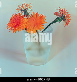 Four wild daisies in a  frosty glass.Isolated on a light blue background.  Stock Image. Stock Photo