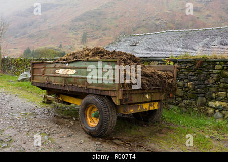 A farm trailer loaded with mature in the Lake Distirct National Park, Cumbria. Stock Photo