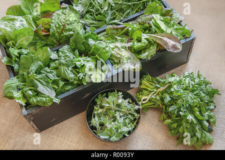 A wooden produce box filled with four types of mixed greens with oregano and parsley in the foreground. Stock Photo
