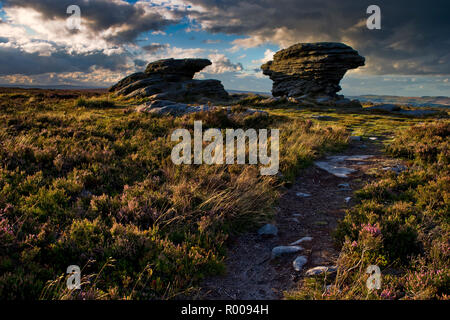 The Ox Stones caught in evening light. Burbage Moor, the Peak District, England  (1) Stock Photo