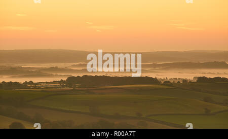 Looking down from the top of Pilsdon Pen hill in Dorset at farming land, green fields and mist at sunrise Stock Photo