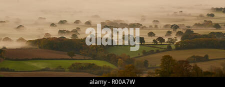 Looking down from the top of Pilsdon Pen hill in Dorset at farming land, green fields and mist at sunrise Stock Photo