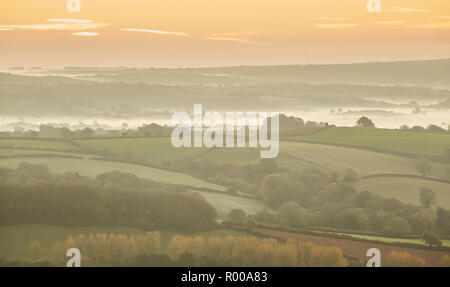 Looking down from the top of Pilsdon Pen hill in Dorset at farming land, green fields and mist at sunrise Stock Photo