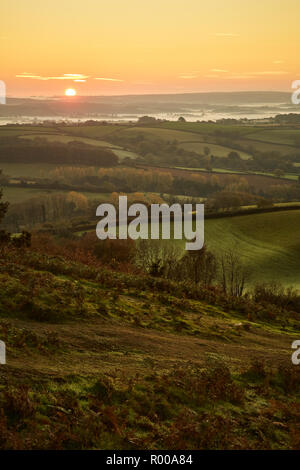 Looking down from the top of Pilsdon Pen hill in Dorset at farming land, green fields and mist at sunrise Stock Photo