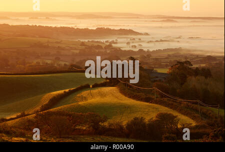 Looking down from the top of Pilsdon Pen hill in Dorset at farming land, green fields and mist at sunrise Stock Photo