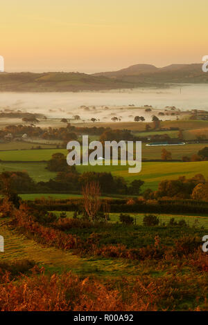 Looking down from the top of Pilsdon Pen hill in Dorset at farming land, green fields and mist at sunrise Stock Photo