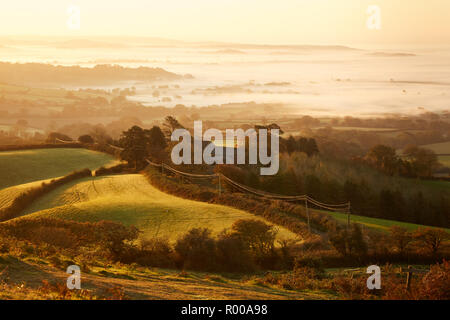 Looking down from the top of Pilsdon Pen hill in Dorset at farming land, green fields and mist at sunrise Stock Photo