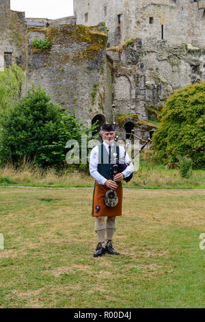 Piper at Blarney Castle, near Cork in County Cork, Republic of Ireland
