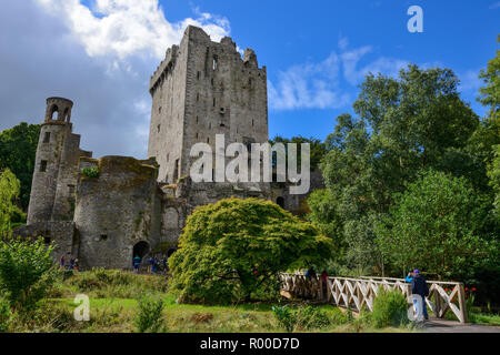 Blarney Castle and Gardens, near Cork in County Cork, Republic of Ireland