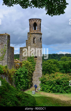 Tower next to the dungeons at Blarney Castle, near Cork in County Cork, Republic of Ireland