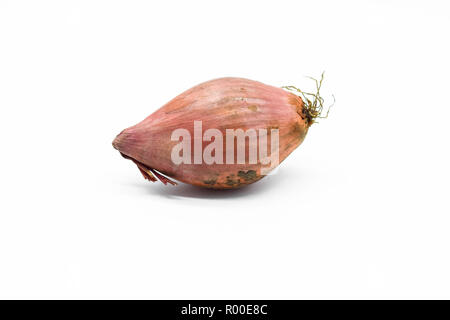 Shallot isolated on white background Stock Photo