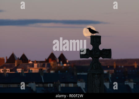 Whitby, Yorkshire, UK: 25 October 2018. The full moon sets over the graveyard as a crow sits on a cross over Whitby Stock Photo