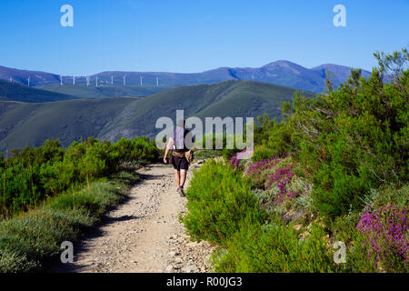 Camino de Santiago (Spain) - Pilgrims walking along the way of St.James, in the Bierzo green landscape Stock Photo