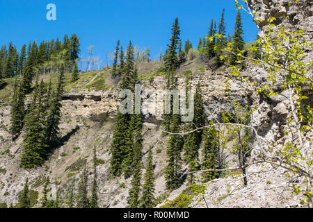 summer scenes in Alberta Stock Photo