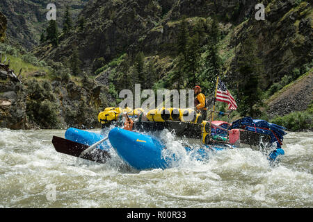 Guiding the sweeper boat on the Middle Fork Salmon River, Idaho with Far And Away Adventures. Stock Photo