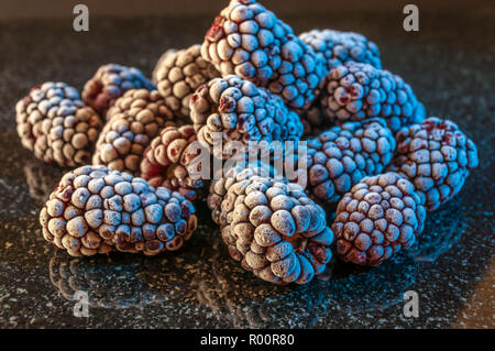 Frost covered blackberries Stock Photo
