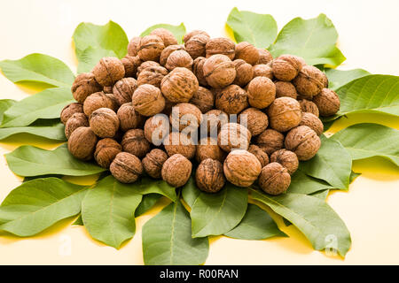 ripe nuts with leaves on a yellow background Stock Photo
